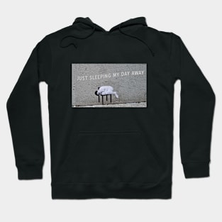 Sleeping my day away Hoodie